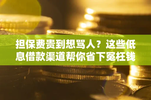济南担保费贵到想骂人？这些低息借款渠道帮你省下冤枉钱