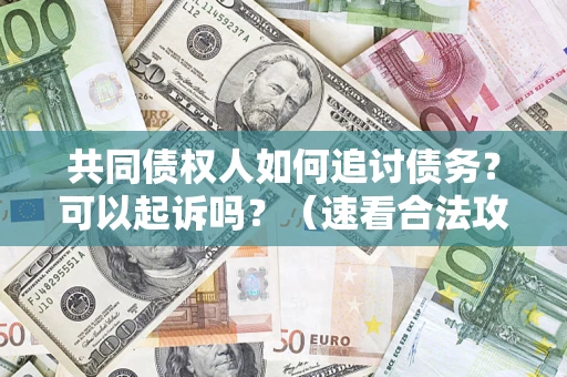 济南共同债权人如何追讨债务？可以起诉吗？（速看合法攻略）
