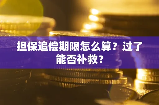 济南担保追偿期限怎么算？过了能否补救？